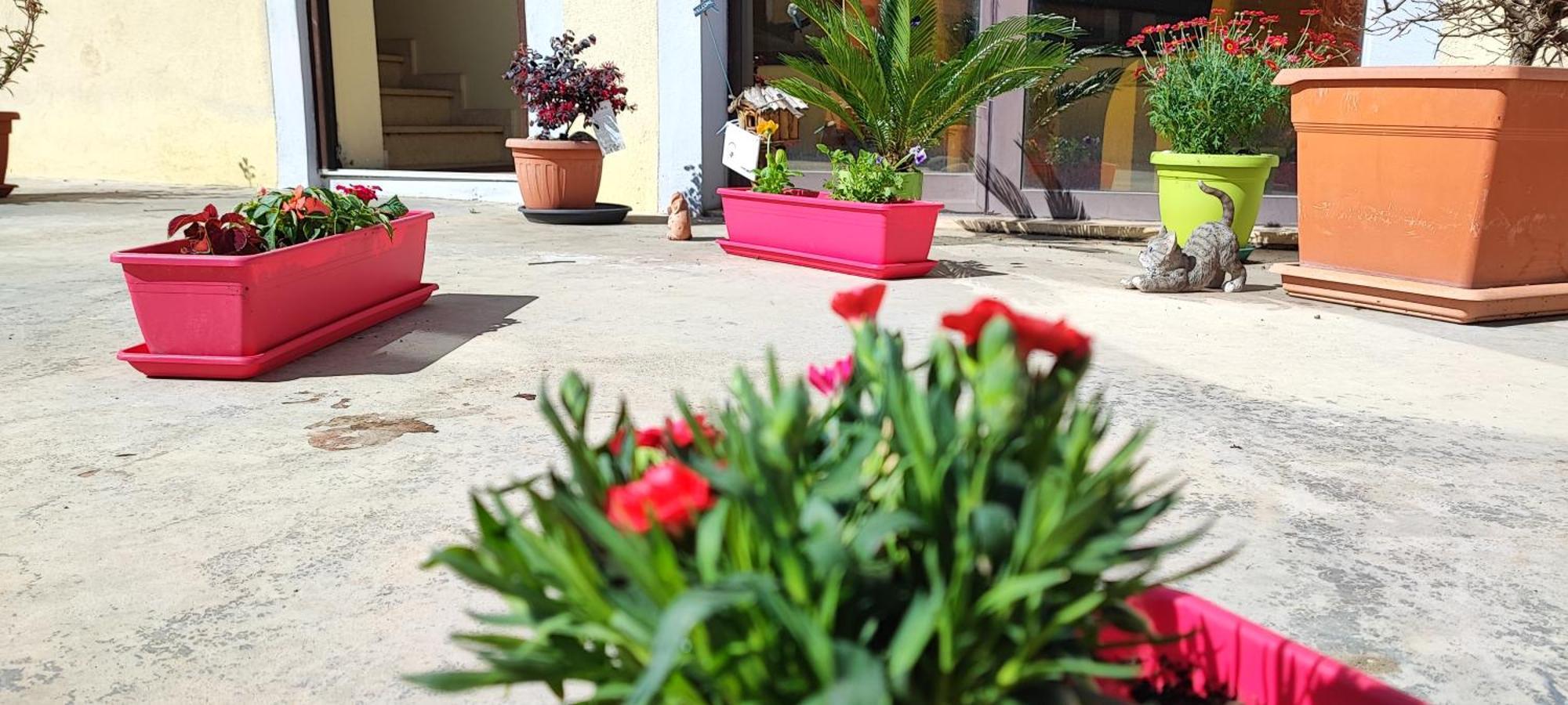 B&B Gioia Катандзаро Экстерьер фото